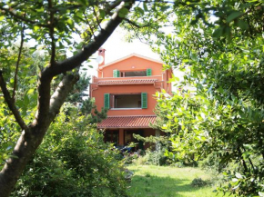 Villa Corall - next to the beautiful Cape Kamenjak
